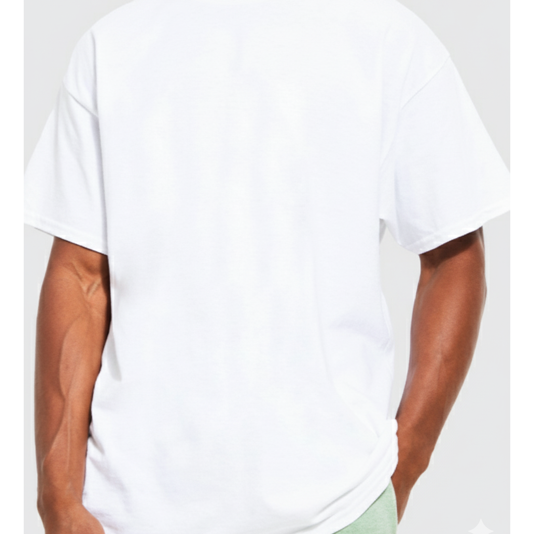 Premium Cotton T-Shirt 240g